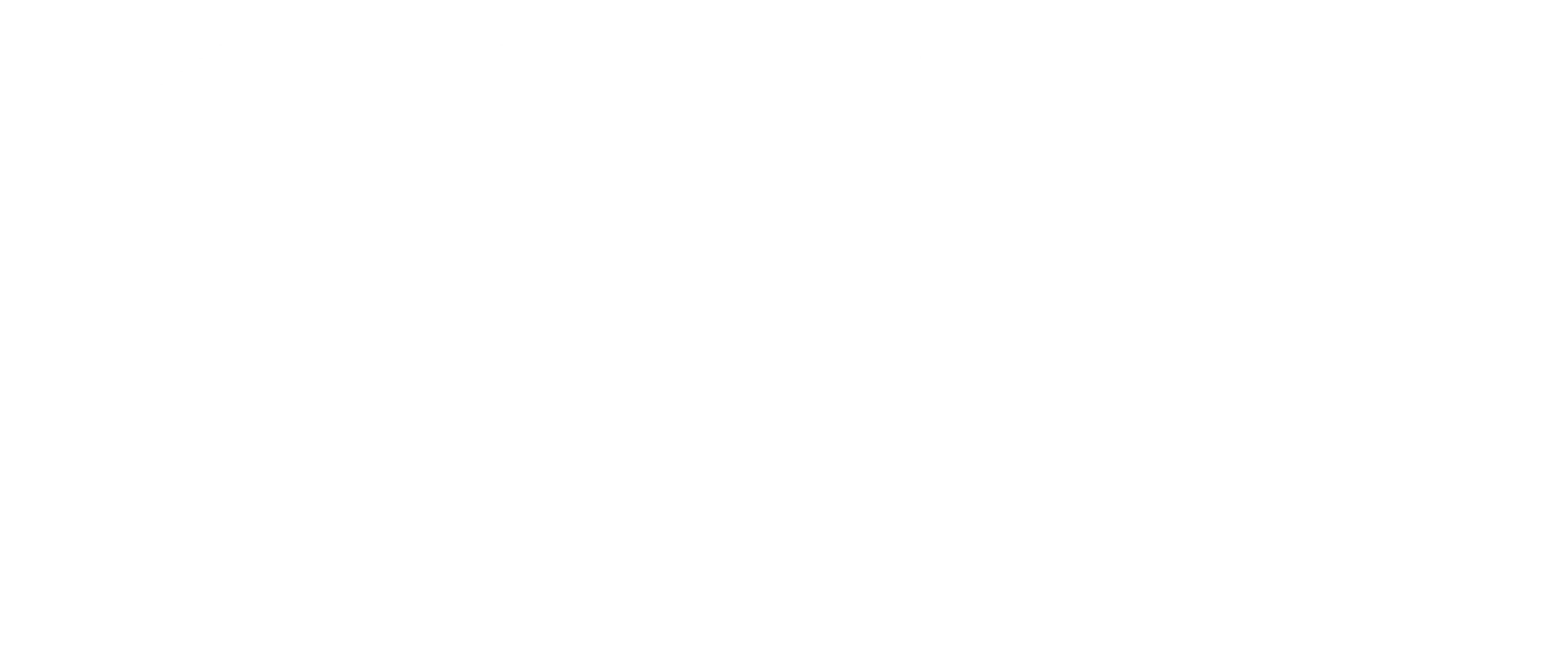 Museo de Arte Acarigua Araure